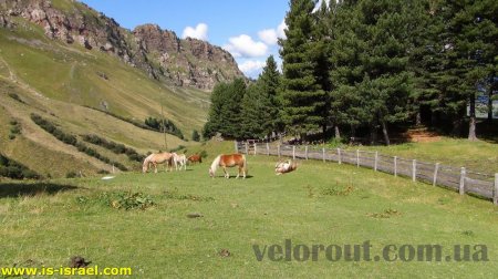  (velorout) : Selva di Val Gardena   3 ( )