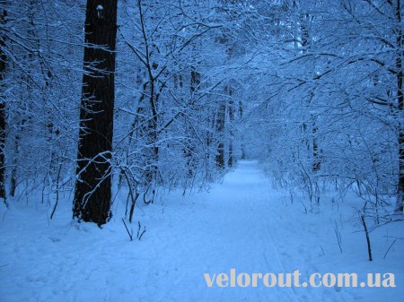 Веломаршрут (velorout) Что такое зимнее катание?.....
